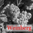 Unsere Weinberge